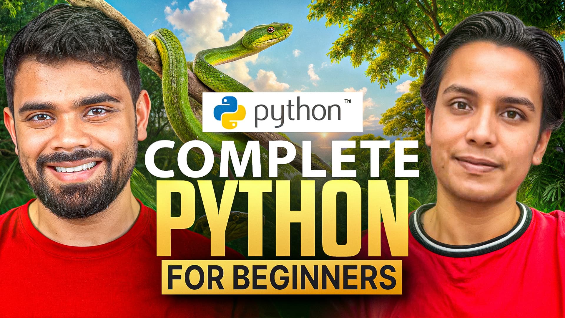 Python course image